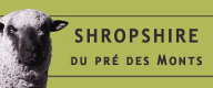 smoothy html5 template